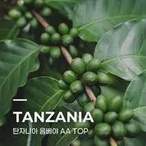 [커피생두] 탄자니아 음베야 AA TOP 1kg