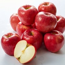 홍로 햇사과 못난이 5kg 흡집 꿀사과