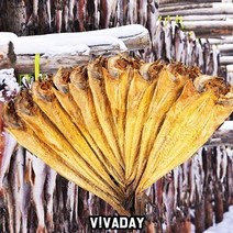 [RAΕ] DHD 황태포 L대 찜포 250마리 술안주 먹태 황태 찜용 손질 업소용 ▷_4Ε470Ea, Ε본상품선택!, ☆탁월한선택