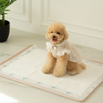 아베크 아베크 펫 논슬립 배변매트 표준형 샘방지 배변판 65x50cm, 아이보리 / 초대형 85x65cm