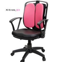 듀얼등받이 책상의자 편한 컴퓨터책상의자 개발자 학생, 블랙