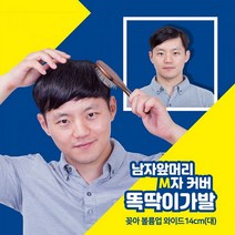픽앤웨어 픽앤웨어 남자 앞머리 M자가발 인모믹스 와이드 14cm (2086597), 내츄럴브라운