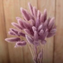토끼 꼬리 말린 꽃 솜털 팜파스 잔디 소박한 웨딩 장식 홈 30 개, 03 taro purple_01 30pcs