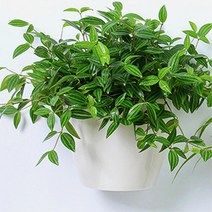 단기출장 식물관리용 자동급수 화분 옥상텃밭 플랜트