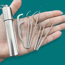 치아 세정기 직수 잇몸 마사지기 구강 수압 칫솔 이쑤시개 세트 금속 스테인레스, 노란색-6개