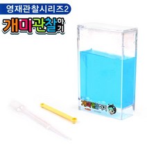 현모양처 팬시로비 개미 관찰하기 (중) (블루) (1029), 상세페이지 참조