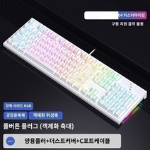 키보드공방 RKR87 기계식 키보드 R104 유선 RGB 맞춤형 87 키 컴퓨터 노트북 게임 게임 핫 스왑 가능, E.K백축, X.R104 흰색 RGB 조명 - 전체 키 플러그 단일, 텐키리스