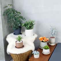 국산 고급 수제 토분 뜨레몽 테라코타 인테리어 화분 도자기화분 세라믹화분, a 기본형 화분, 1. 화이트