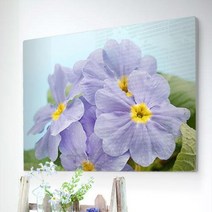 바보사랑 폼아크릴액자78CmX56Cm 액운을막는꽃프리뮬러.꾸밈, 타입2