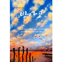 방아코:은채의 고군분투 성장소설, 국학자료원, 김채형