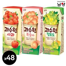 과수원 드링크 팩음료 190ml 24입 x 2박스(48입) 오렌지 사과 복숭아 청포도, 과수원 복숭아 24입 + 청포도24