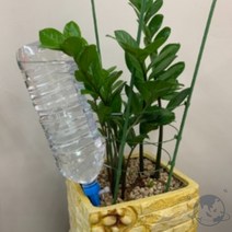 VEDANA 화분자동급수기 4P 자동물주기, 1개