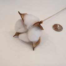 밍블랑 셀프인테리어 디퓨저재료 모음 DIY 디퓨저 공병 섬유스틱 리필오일 디퓨저스틱, 1개, 목화우드스틱 1개