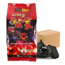 숯불구이 바베큐 캠핑 참숯 숯효능 불멍 1kg 12개 D1195, 1, 1