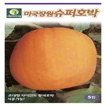 다농원예가든 미국장원슈퍼호박5립