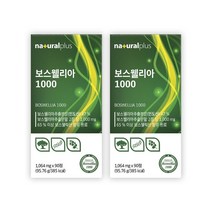 보스웰리아 가루 추출물 분말 정 고순도 최고등급 인도산 보스웰릭산 보스웰리아수지 AKBA KBA 스위스 DSM 비타민D 식약처 HACCP 인증, 2개, 90정