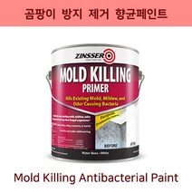 [던에드워드] [균페인트] [베란다페인트] 몰드킬링 프라이머 1L 곰팡이 위 바로 칠 가능 빠른 건조시간 냄새없는 무독성페인트 베란다벽면페인트 베란다페인트 곰팡이박멸 박테리아 제거 셀프페인트 셀프페인팅 셀프인테리어, 1개