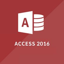 MS Access 2016 ESD 영구용 라이선스