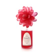 [핫트랙스] 샹떼 아로마 플라워 디퓨저 - 블랙 체리 100ml, 향