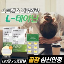 루틴 L-테아닌 엘타아닌 홍경천추출물 감태분말 수면 잠잘오는 영양제 몸이피곤할때 안정제 스트레스 긴장 완화제 만성피로 회복제 효능 추천, 60정  / 2개