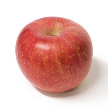 설 선물세트 청송 사과 5kg, 중과(18~24개)