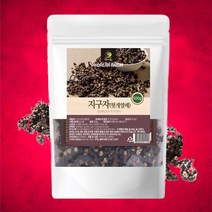 국내산 헛개나무열매 지구자 500g, 1개