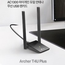 고성능 무선 USB랜카드 듀얼 안테나 Archer T4U Plus, 본상품선택, 본상품선택