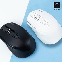 로이체 블루투스 겸용 무소음 무선 옵티컬 마우스 RX-560 DUAL 블랙/화이트, 블랙, 블랙