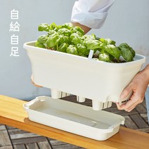자급자족라이프 자동급수 화분 세트 (배양토+씨앗) 저면관수/베란다 텃밭 화분/상추 바질 루꼴라 방울토마도 중 2택, 상추, 상추, 아이보리