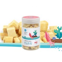 강아지 오징어 건조 트릿 45g 애견 간식 산책간식 고양이자연식 동결간식, 1개
