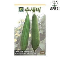 수세미 씨앗 10립 덩굴성 박과식물 관상용 식용 + 네임택, 단품