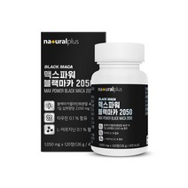 블랙마카 아르기닌 1800 타우린 L-아르지닌 분말 정 알약형 추천 효능, 1개