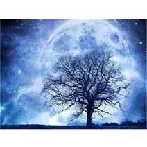 아트미니 보석십자수 만월 오래된나무 풍경 신비로운 우주 별 전체수 대형, 110x80cm
