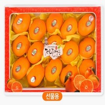 베리팜 제주 레드향 선물용 3kg 특대과 13수이내