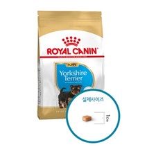 요크셔테리어 아기강아지 피모사료 1.5kg 프렌치불독