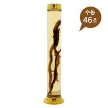 용천유리46호-1박스 (6개)/담금주병/술병