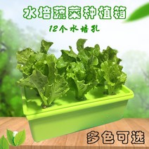 베란다 재배 디바이스 반찬 기계 방안 워터 상자를 심는 플라스틱화분 가든픽, T06-그린썬 산소증폭 물 배상자, C01-중하