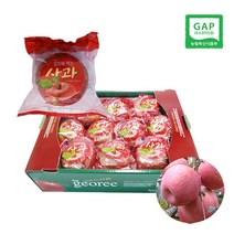 [농협] 껍질째 먹는 사과 2.5kg, 1box