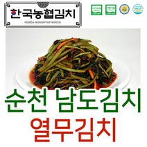 한국농협김치 순천 남도 열무 김치 HACCP 전라도 국내산, 2.열무김치 5kg