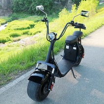 지쿠터 2인용 할리 전동 전기 스쿠터 바이크 오토바이 SP08 60V, 2000W, 배터리 미포함