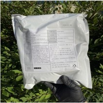 꼬미다 황치즈 분말 가루 1kg 1개 [godo38+]재고45EA, 꼬미다 황치즈가루 1kg, 그린트레이드 1