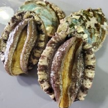 청정지역 전라남도 완도 활 꼬마 전복 (소) 1kg 탕 죽용 당일 조업 신선 아이스 박스 산소 포장 + 세척용 솔 증정, 소1kg(25/30미)