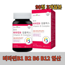 비타민B 구내염 B2 B6 B12 판토텐산 비오틴 엽산 고농축 활성 천연 활력 종합 역할 군음식