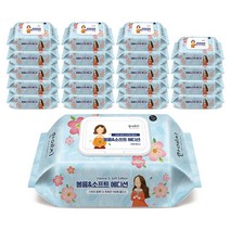한예지 볼륨앤소프트 에디션 물티슈 캡형 100매, 20팩, 100개