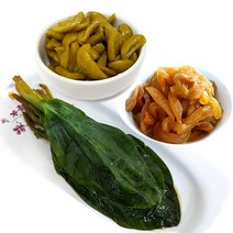 매실장아찌 울외장아찌 명이나물장아찌 1kg, 매실장아찌1kg