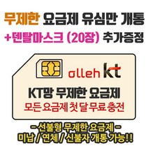은우텔레콤 KT무제한요금제 선불유심개통, 1개, 선불데이터톡톡