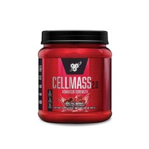 BSN 비에스엔 셀메스 운동후 파우더 495g 25회분 아틱베리