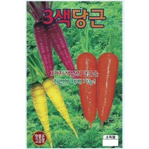 씨앗 당근 3색당근 500립, 1개
