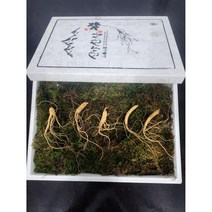 먹산삼 산양산삼 산양삼 장뇌삼 5~6년근 정삼, 5뿌리