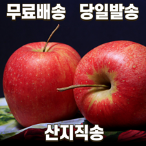 농부파파 경북 영천 껍질째먹는 맛있는 꿀사과 햇부사 흠집 못난이 흠과 가정용 추천 5kg 10kg 한박스, (정품) 5kg 대 로얄(13-15과)